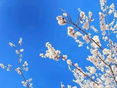 -少华山国家森林公园