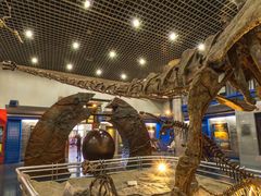 -国家自然博物馆