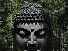 -杭州植物园