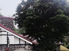 -太平山餐厅(山顶道店)