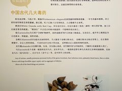 -广东省博物馆