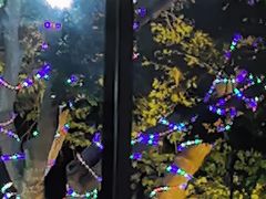 -蘇河湾·新鲁菜·泰山宴(泰山店)