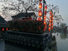 -老品芳