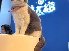 -萌兽医馆·眼科·异宠专科(三里屯店)