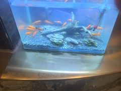 -华夏良子·足道SPA艾灸(铁道大厦店)