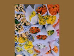 -三圣花乡旅游区