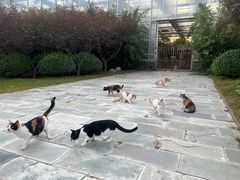 -燕郊植物园