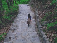-北京上方山国家森林公园