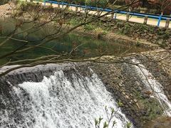 -宁波五龙潭景区