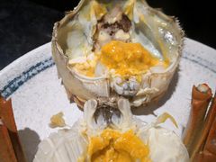 -黄记大闸蟹专卖店·活蟹·醉蟹