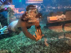 -涛·海底餐厅·美人鱼·自助餐·海底隧道(三亚海棠湾洲际度假酒店)