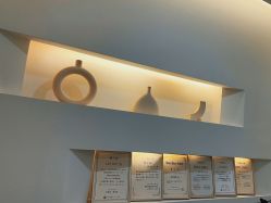 -VE专注问题肌·赛诺龙&科学美肤中心