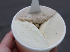 -Dip in Gelato(富民路店)
