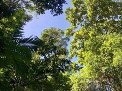 -热带雨林自然公园
