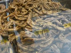 -王浩儿纪六孃甜皮鸭(乐山总店)