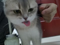 -Mr.Fruits水果先生(英蓝金融中心店)