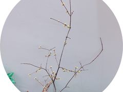 -八哥美术·成人美术画室(总校区)
