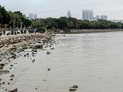 -深圳湾公园(南山区)