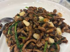 -丁老爷子苏香圆