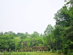 -金陵矩阵(聚宝山公园店)