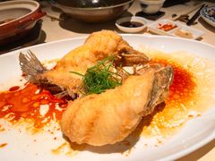 -侨美食家·粤菜(体育西路店)