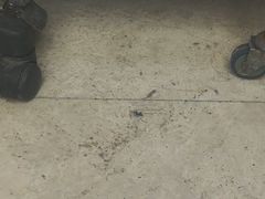 -上海交通大学医学院附属仁济医院(南院)