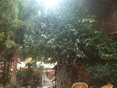 iphone_upload_pic-绿色时代大酒店