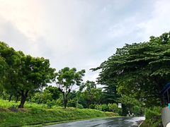 -飞鱼&摩娜潜水度假村