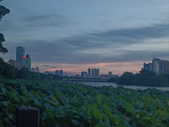 -南宁南湖公园