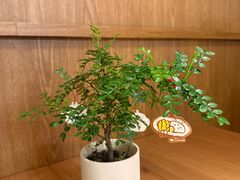 -CURRY YA 熟成咖哩專門店(深圳湾万象城店)