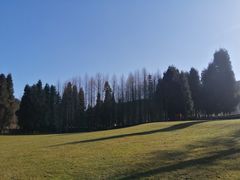 -武陵山森林公园