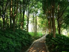 -美兰湖景区