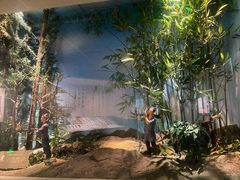 -长沙简牍博物馆