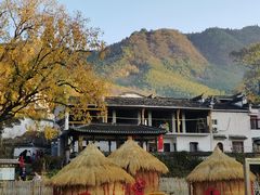 -塔川景区