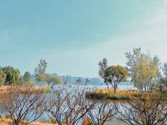 -东郊湿地公园