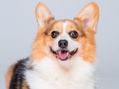 -ID.PHOTO照相馆(嘉里企业中心店)