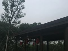 -呼吸森林·生态农庄农家乐私房菜