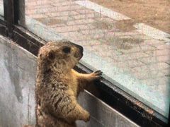 -鄂尔多斯野生动物园