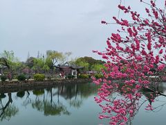 -无锡蠡湖国家湿地公园-蠡园