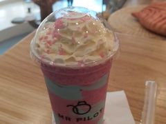 -飞行喵MR PILOT|猫舍·猫咖(静安大融城店)