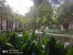 -浙江大学医学院附属第二医院(解放路院区)