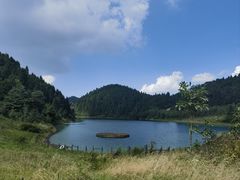 -武陵山森林公园