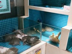 -元银甲·湖北地标美食(汉阳店)