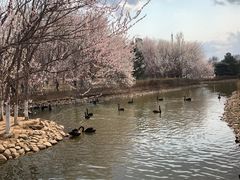 -长白岛森林公园