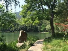 -紫霞湖公园