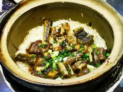 -红星光发煲仔饭(文海店)