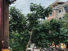 -韩热集市(百源店)