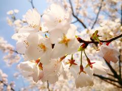 -杭州城北体育公园