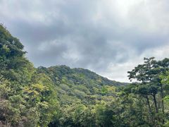 -梧桐山风景名胜区