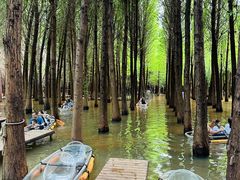 -捞渔河湿地公园
